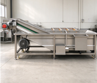 Machine à laver les légumes entièrement automatique en acier inoxydable SUS304, idéale pour laver les tomates, les pommes de terre et les légumes à feuilles.