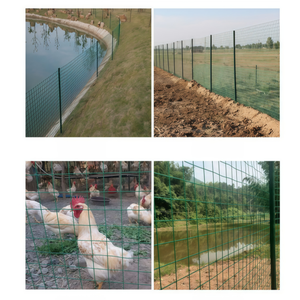 Rouleau <span class=keywords><strong>de</strong></span> <span class=keywords><strong>grillage</strong></span> soudé galvanisé et enduit <span class=keywords><strong>de</strong></span> PVC pour poulailler, cage à volailles, lapinier, volière - Product Image 5