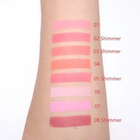 Palette de fard à joues OEM de luxe argentée, poudre scintillante végétalienne, bronzant longue tenue, maquillage mat pour les joues, marque privée