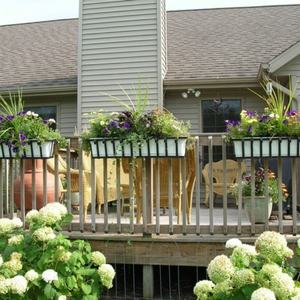 SOL Boîtes de culture rectangulaires fines en plastique transparent, best-seller - Product Image 5