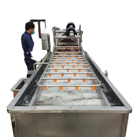 Reinigingsmachine voor visverwerkingsbedrijven, appels, aardappelen, wortelen; reinigingsmachine met belwasmogelijkheid voor groenten