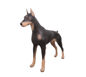 Maniquí de Doberman Pinscher Grande de 87.5cm, Modelo de Perro Desmontable de Fibra de Vidrio para Exhibición en Tiendas de Collares y Arneses para Mascotas - Product Image 1