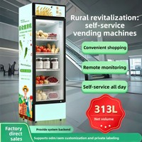 24-uurs verse-fruit automaat met intelligente vershoudfunctie, gekoelde displayvriezer, commerciële AI-visie en zelfbedieningsafhaling
