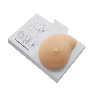 Exame Feminino Mama Saúde Estrutura Mama e Doença Simulação Lump Exame Mama Simulador Silicone - Product Image 2