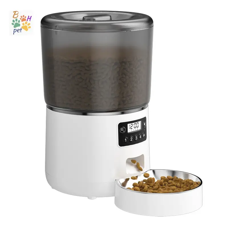 Best automatic cat feeder