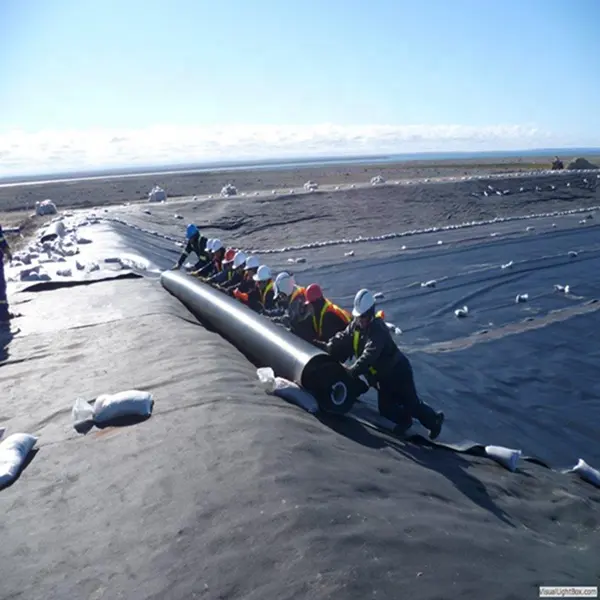 man made lake impermeable waterproofing hdpe geomembrane liner for lagoon lake liners