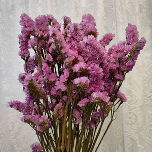 Bouquet <span class=keywords><strong>de</strong></span> fleurs séchées « Oublie-moi-pas » Fleurs séchées naturelles <span class=keywords><strong>Herbe</strong></span> <span class=keywords><strong>de</strong></span> la <span class=keywords><strong>pampa</strong></span> Fleurs réelles Décoration <span class=keywords><strong>de</strong></span> la maison Accessoires <span class=keywords><strong>de</strong></span> photographie Vente en gros - Product Image 3