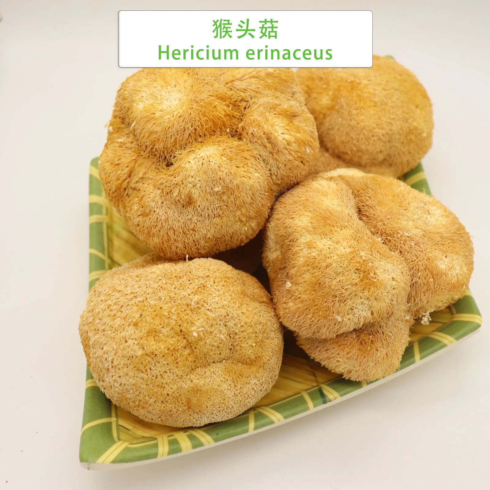 도매 가격 1kg 사자의 갈기 버섯 고품질 hericium erinaceus 대량 말린 사자 갈기 버섯 판매