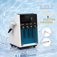 Appareil de soin de la peau multifonctionnel 2 en 1, équipement de spa facial à l'eau et à l'oxygène, machine de microdermabrasion faciale