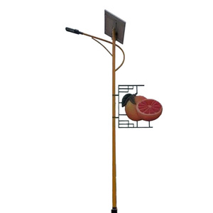 Farola Solar de 6 Metros de Aleación de Aluminio con LED, Iluminación Exterior Solar para Zonas Rurales - Product Image 1