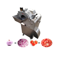 HAVERY Commerciële RVS Multifunctionele Fruit- en Groentesnijder Machine voor Restaurantgebruik Appel Wortel Blokjes Snijder