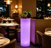 Pot de fleurs cylindrique vertical lumineux IP65 avec seau éclairé par LED pour hôtels, restaurants, fêtes, jardins
