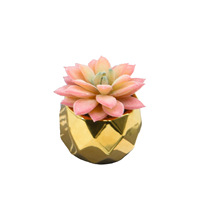 Plante succulente artificielle en plastique en pot, pot en forme de diamant, bonsaï, décoration d'intérieur, mini ornement, arrangement de fleurs artificielles, petit modèle