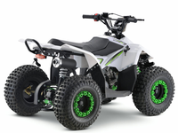 Quad tout-terrain Wanyang 110cc, moteur 4 temps, 2 roues motrices, acier, puissance portable pour enfants, transmission automatique par chaîne