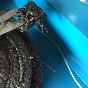 Không amiăng Graphite gland đóng gói cho Máy bơm van con dấu - Product Image 1