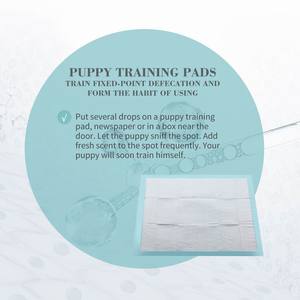 Almohadillas de Entrenamiento para Perros y Cachorros Desechables, Súper Absorbentes, Anti-Fugas, de Tela No Tejida, para Uso en Interiores y Exteriores - Product Image 4