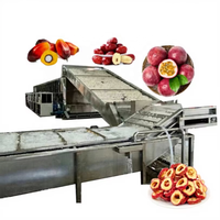Industriële fruitdroogapparatuur warmtepomp fruitdehydrator jujube, passievrucht, drakenvrucht, palmpitdroogmachine