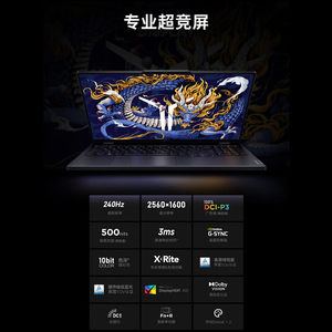 Laptop da Gaming Savior Y9000P 2024R9000P Y/R7000P con Intel Core I9-14900HX, 240Hz, 2560x1600 - Product Image 3