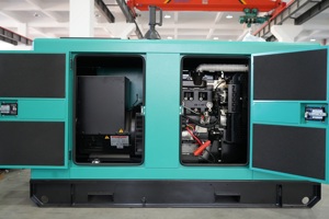 Générateur diesel LETON Power 50 kVA, diesel 50 kW, 50 Kva, 50 kVA, silencieux, électrique, faible régime, générateur diesel 50 <span class=keywords><strong>Kv</strong></span>, 50 kW, 50 000 watts, prix - Product Image 5