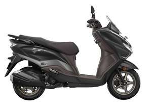 สกู๊ตเตอร์เบิร์กแมน สตรีท เอ็กซ์ จากอินเดีย - Product Image 3