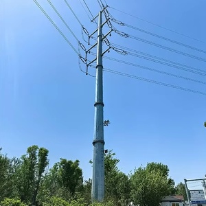 Thép hình ống swaged cực cho điện phân phối điện tùy chỉnh thiết bị điện - Product Image 6