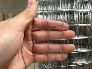 <span class=keywords><strong>Malla</strong></span> <span class=keywords><strong>de</strong></span> Alambre Soldada Galvanizada en Caliente Resistente a la Oxidación <span class=keywords><strong>de</strong></span> 30 m 25x25 - Product Image 4