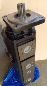 Bomba de engranajes 50 Crane ZOOMLION's Working Pump 1010000135 - Product Image 2