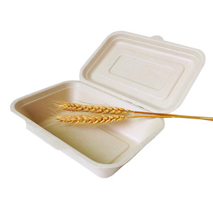 Caja de comida de bagazo de caña de azúcar, vajilla biodegradable de 9 "x 6", fiambrera de caña de azúcar de bagazo desechable, plato - Product Image 2