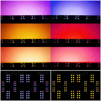 Projecteur de surface COB 2*300W RGBW+WW IP65 pour concerts et événements intérieurs et extérieurs, scènes, fêtes et clubs