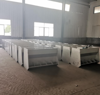 Semoir automatique pour cochon, double face, en acier inoxydable, pour nourrissage des nourrissons