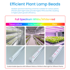 T8 quang phổ đầy đủ ánh sáng thực vật dẫn trong nhà Rau Cây Giống tăng trưởng ánh sáng nhà kính nhà kính mọng nước ánh sáng - Product Image 2
