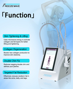 Appareil de remodelage corporel Freezewave 2450 MHz à double applicateur pour raffermissement cutané et lissage de la cellulite – Équipement de salon - Product Image 6