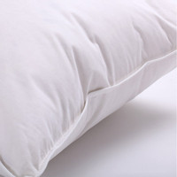 Insert de noyau d'oreiller personnalisé à bon prix noyau d'oreiller en velours insert d'oreiller en plumes coussin de plumes intérieur