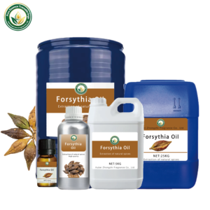 Huile de Forsythia en Gros (Forsythia Suspensa) 100% Pure Distillée à la Vapeur, Fournisseur d'Usine OEM pour l'Aromathérapie et les Soins de la Peau - Product Image 6