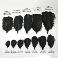 10 Stück/Set Gefärbte Bunte Große Straußenfedern 50-75cm Schwarz Weiß Rot Halloween Hochzeit Tischdekoration