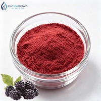 Voedingsmiddelengekeurd lyofiliseerd zwart frambozenpoeder 80 mesh 100% natuurlijk geheel fruit gevriesdroogd bessenpoeder