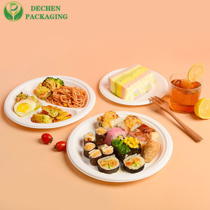 Disposable 9" Plate Bio-Based Made from Sugarcane Bagasse