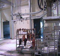 Machine industrielle d'abattage de bétail en acier inoxydable, équipement d'abattoir haute performance, outil d'abattage