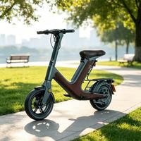 Trottinette électrique H&O D50 Stableing avec frein à double tambour, 500W, 48V, batterie au lithium, trottinette partagée et trottinette de transport domestique