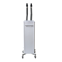 Machine à vapeur capillaire DTY entièrement automatique, à micro-brume d'ozone, hydratante, pour cheveux blancs, tension universelle, pour un traitement capillaire lissant