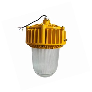 Lámpara de Plataforma a Prueba de Explosiones GMD8160, 60W LED T4 Nema 4X, Garantía de 5 Años - Product Image 1