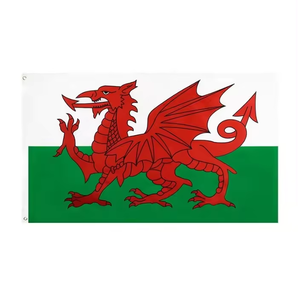 3x5 ft Imprimé Croix Rouge Blanche 68D Qualité Polyester Drapeau Intérieur/Extérieur 90x150cm Drapeau Angleterre - Product Image 4