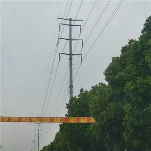 Palo tubolare in acciaio filippine Standard di 30ft <span class=keywords><strong>NEA</strong></span> - Product Image 4