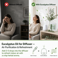 Huile essentielle de feuilles d'eucalyptus fraîches WY, distillée à la vapeur, pour l'aromathérapie, la fabrication de savon, la parfumerie domestique, vente en gros
