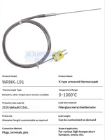 Probe Suhu Termokopel Lapis Baja Tipe K Tahan Suhu Tinggi Dapat Ditekuk 1000C Model WRNK-191 Tiongkok Daratan