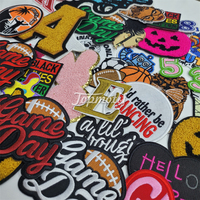 Différents types populaires de patchs de broderie personnalisés pour appareil photo à motif drôle pour cousu/fer à repasser pour vêtements