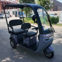 Scooter ecológico de tres ruedas de baja velocidad New Energy-Ideal para paseos cortos en la Comunidad