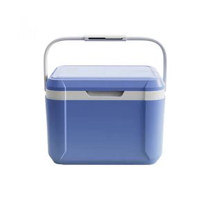 Customized Modern Multi Colored Reusable 5L Insulated Portable Food <b>Cooler</b> <b>Box</b> for Cans and Hospital Use - Product Image 6