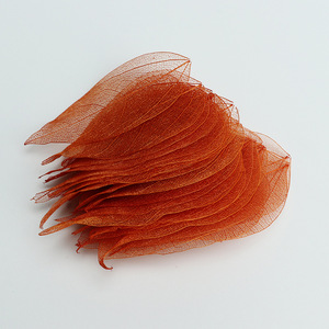 Foglie di Magnolia Vere Conservate, Foglie Scheletrate a Forma Quadrata per Decorazioni Floreali di San Valentino - Product Image 6