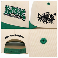 Gorra de Béisbol Personalizada de Lona de Algodón con 5 Paneles, Visera Verde, Bordado, Ajustable, Unisex, Estilo Urbano, Venta al por Mayor, OEM, ODM
